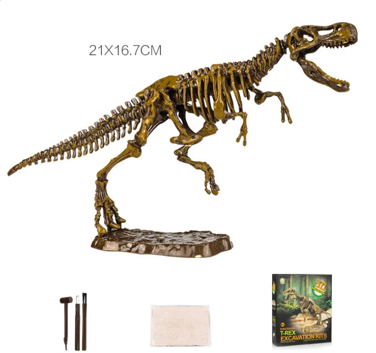 Dino Skeleton Toy - T-Rex Fossil Excavation Kit for Kids | Dinosaur Dig Science Kit