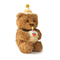 Plush teddy bear with a cake and candle on a white background