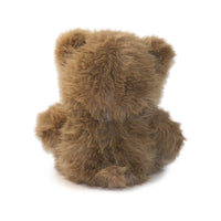 Brown teddy bear on a white background