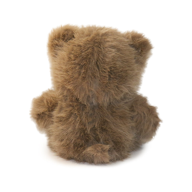 Brown teddy bear on a white background