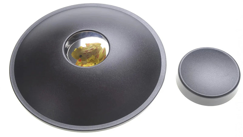 Hologram toy with a frog reflection effect, creating a realistic 3D appearance within a black dome