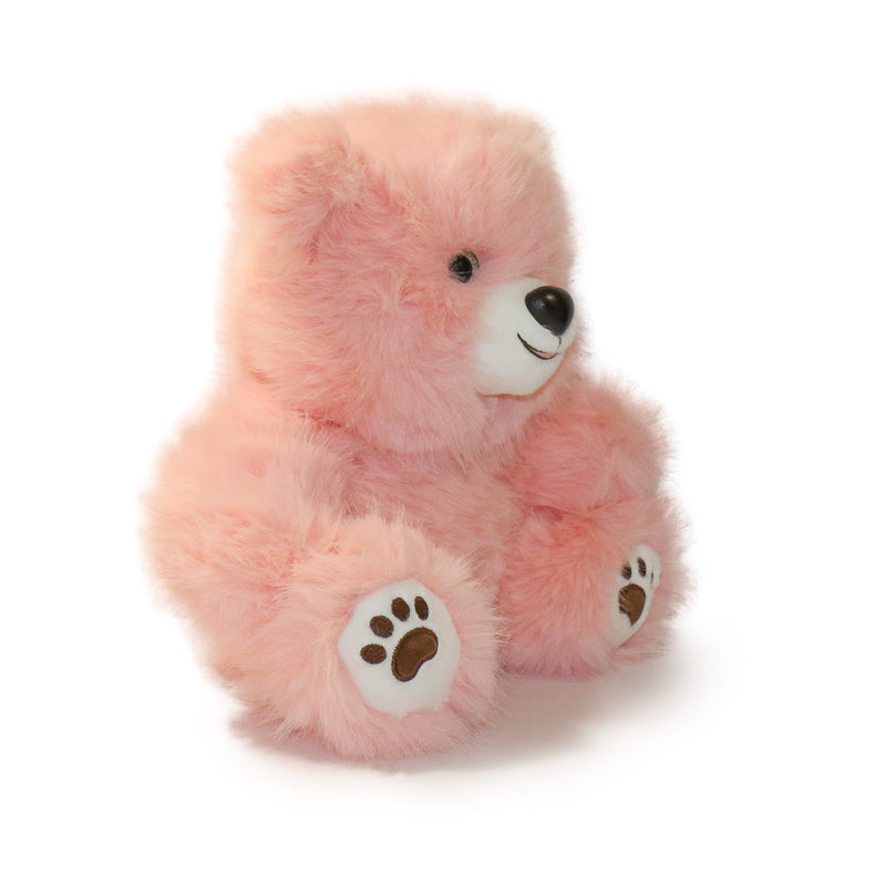 Pink teddy bear with paw prints on a white background