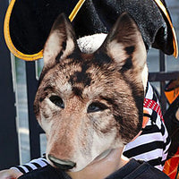 Halloween Party Mask Scary Wolf Mask Animal Face Mask Cosplay Prop Wolf Masque Masquerade Costume Dress Up Accessory