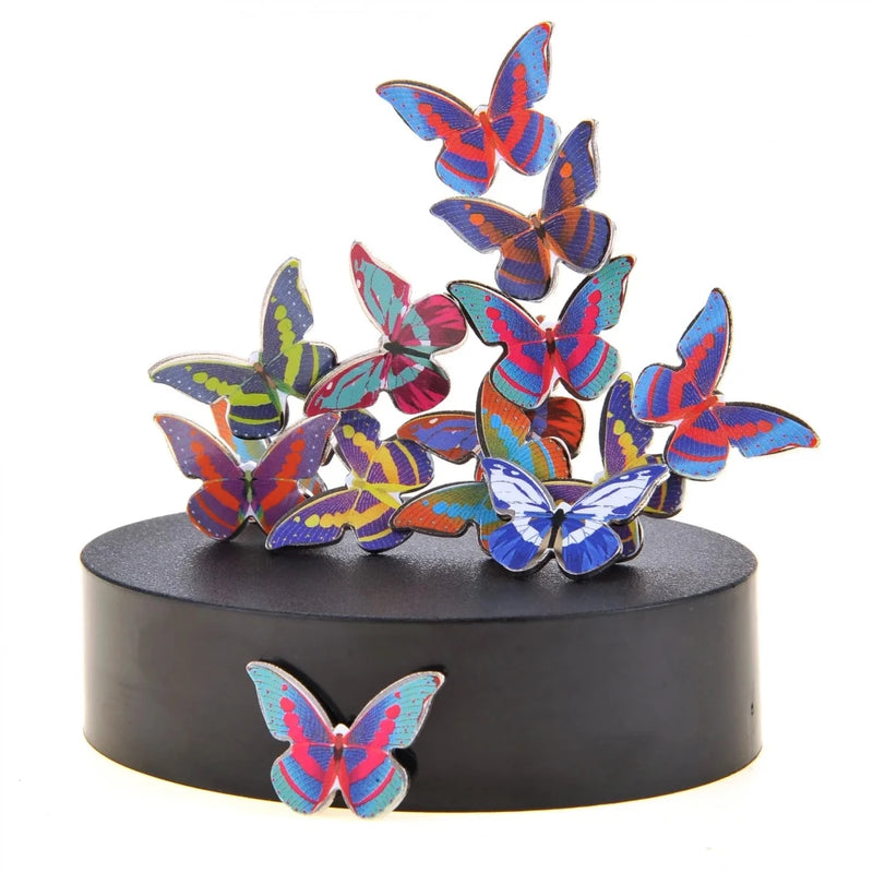 Bright and colorful Magnetic Butterflies arranged for decoration