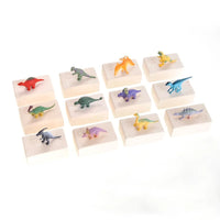 Individual excavation blocks with hidden dinosaur skeleton toys for kids to discover.