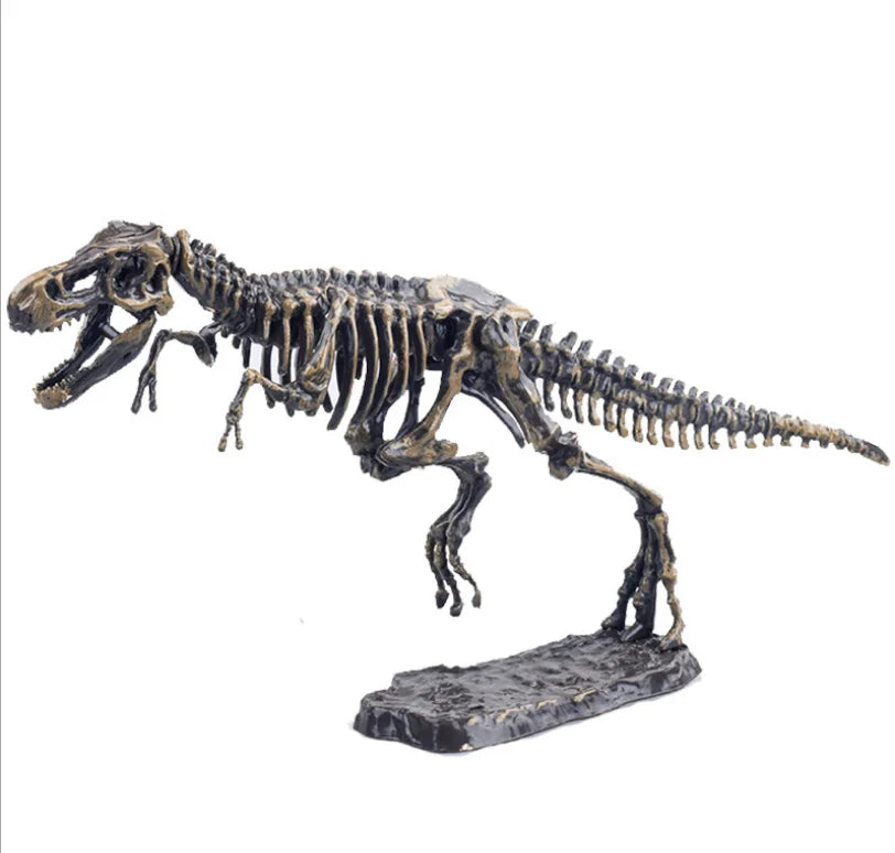 Dino Skeleton Toy - T-Rex Fossil Excavation Kit for Kids | Dinosaur Dig Science Kit