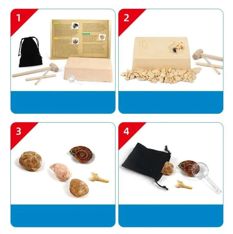 Step-by-step guide for fossil excavation using the Fossil Mining Kit