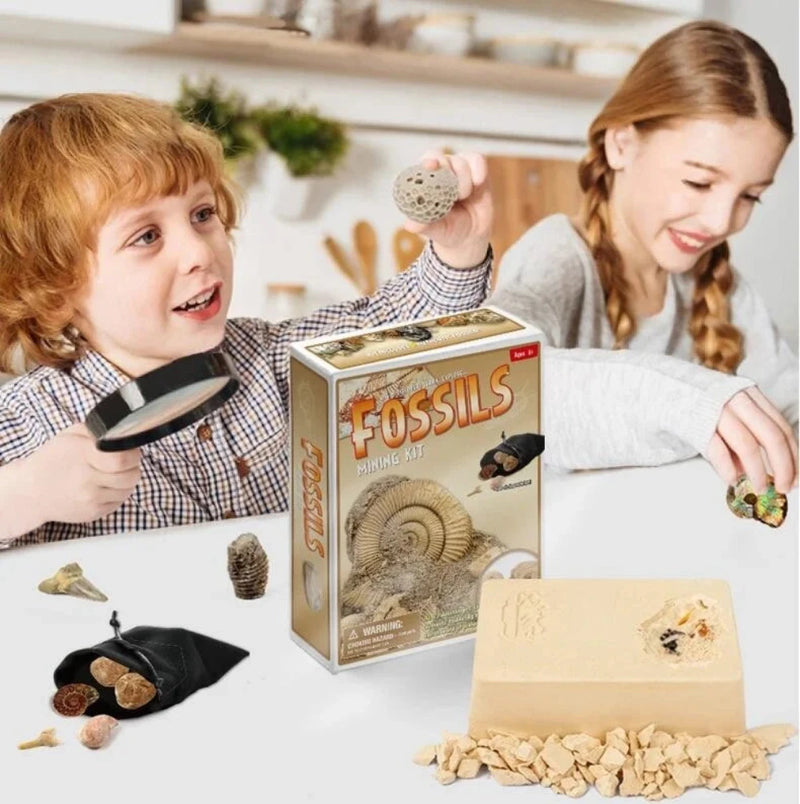 Children enjoying fossil exploration with Fossil Mining Kit, including tools and realistic fossils
