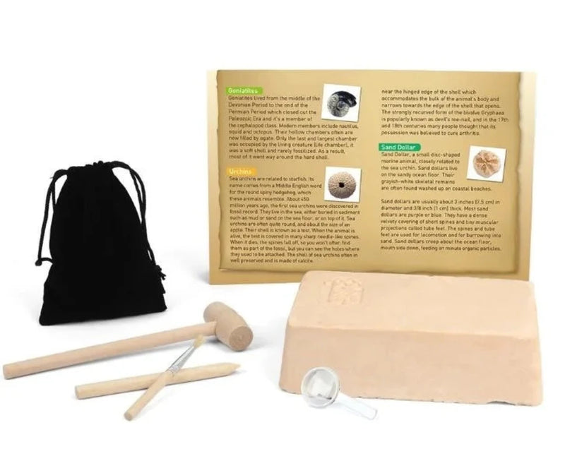 Educational guide, tools, and excavation block included in the Fossil Mining Kit