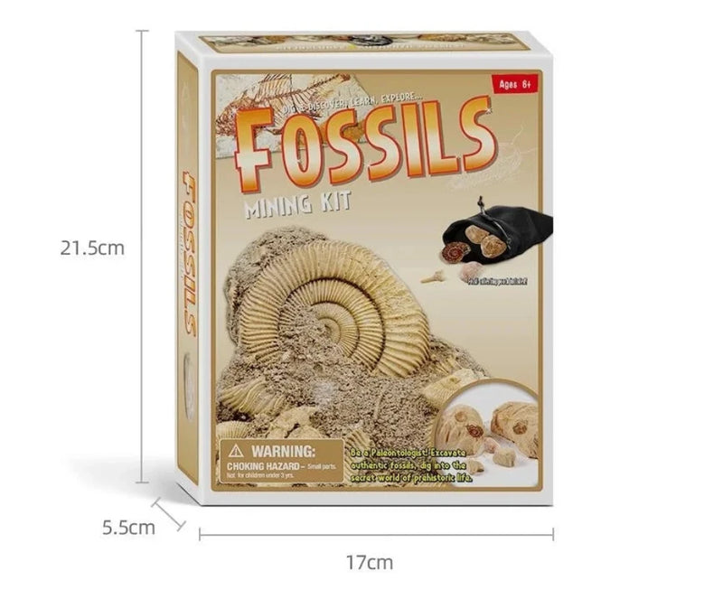 Dimensions of Fossil Mining Kit box showing excavation tools and fossil samples.