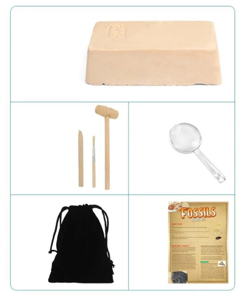 Complete contents of Fossil Mining Kit, including excavation block, tools, and fossil information guide