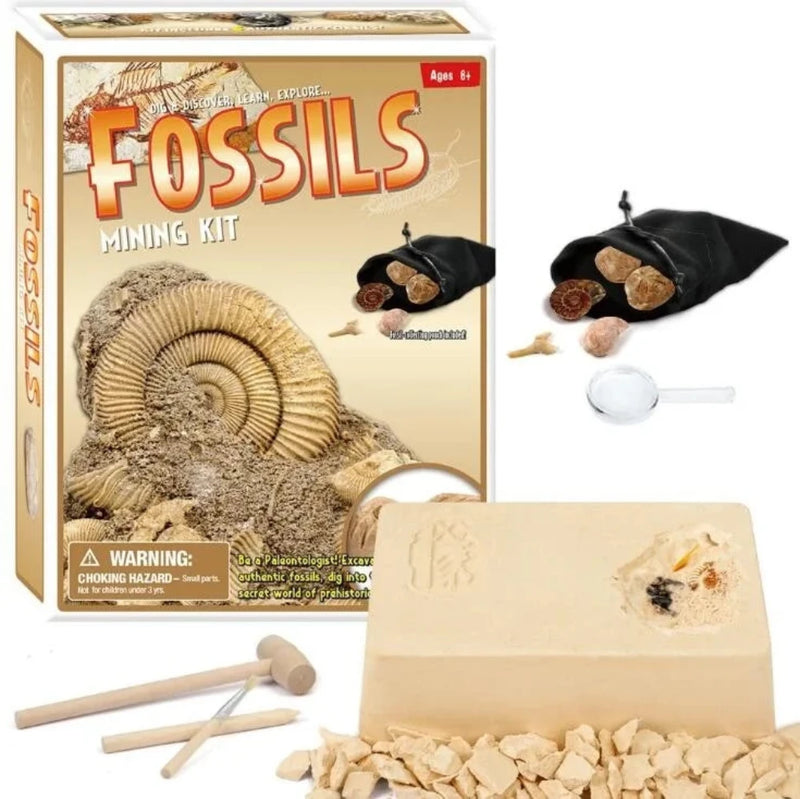 Fossil mining kit for kids with excavation tools and authentic fossils, perfect for young paleontologists