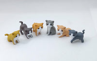 Pack of 6 Adorable Kittens Bath Bombs Kittens in Basket