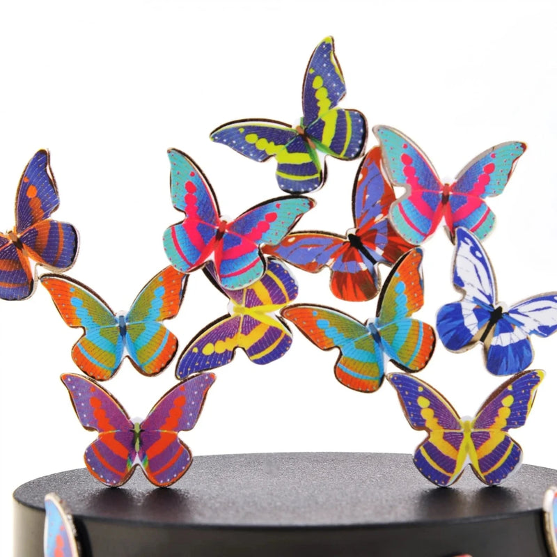 Creative decoration with Magnetic Butterflies on a black base