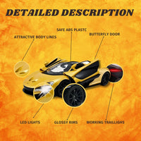 Detailed description of McLaren P1 RC car features including LED lights and butterfly doors."

