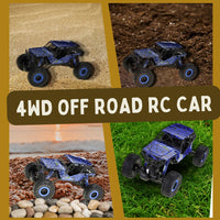 4WD off-road rally RC car 1/10 scale for diverse terrains like sand, dirt, and grass