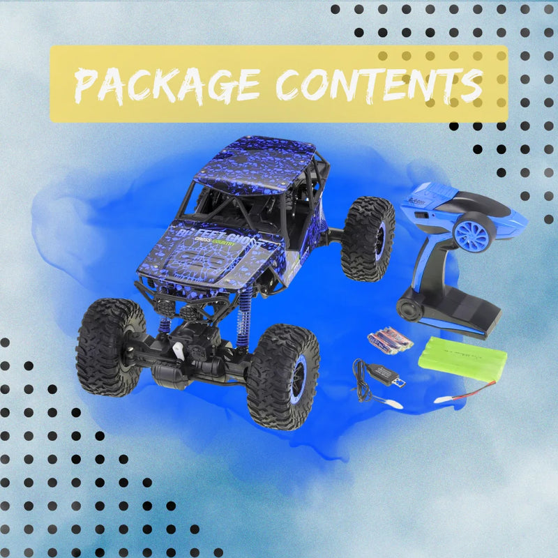 Package contents of 1/10 rally RC car, including remote control, battery, and charger