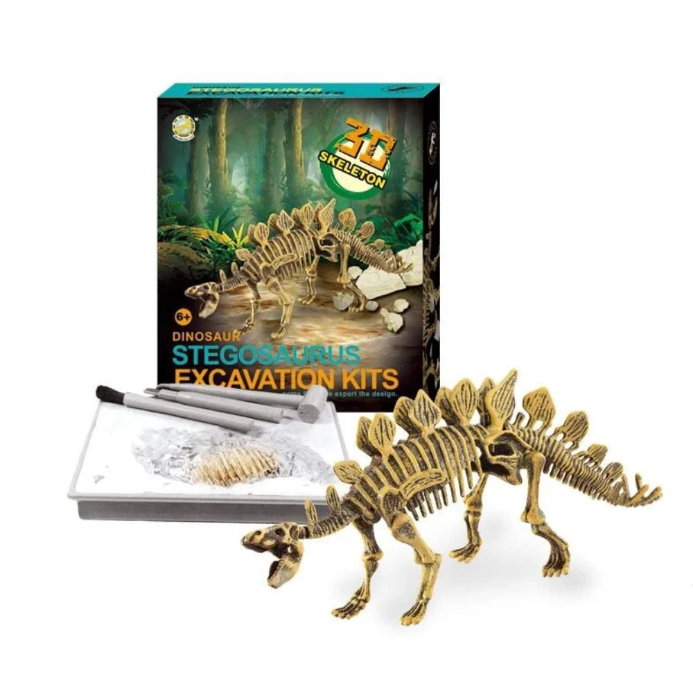 Complete Stegosaurus skeleton excavation kit with realistic fossil pieces and digging tools for an engaging dinosaur dig experience.