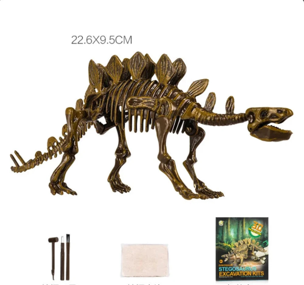 Stegosaurus skeleton toy with size dimensions 22.6x9.5CM, includes fossil tools for realistic dinosaur digging experience.