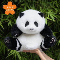 Panda Hehua 4.6lb Plush– Calm Companion Mindful Relax